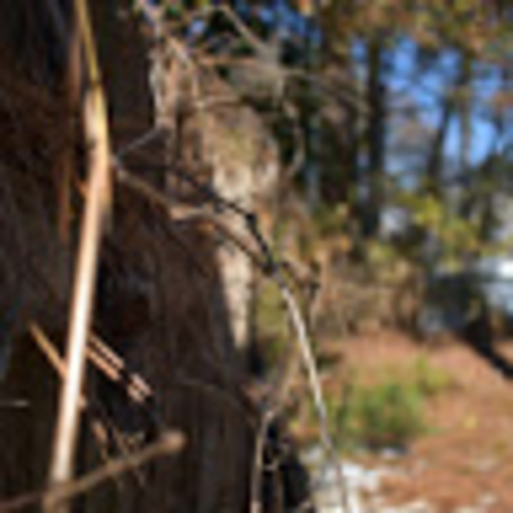 Meet your Posher, Millie